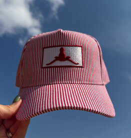Striped Upside Down Longhorn Hat