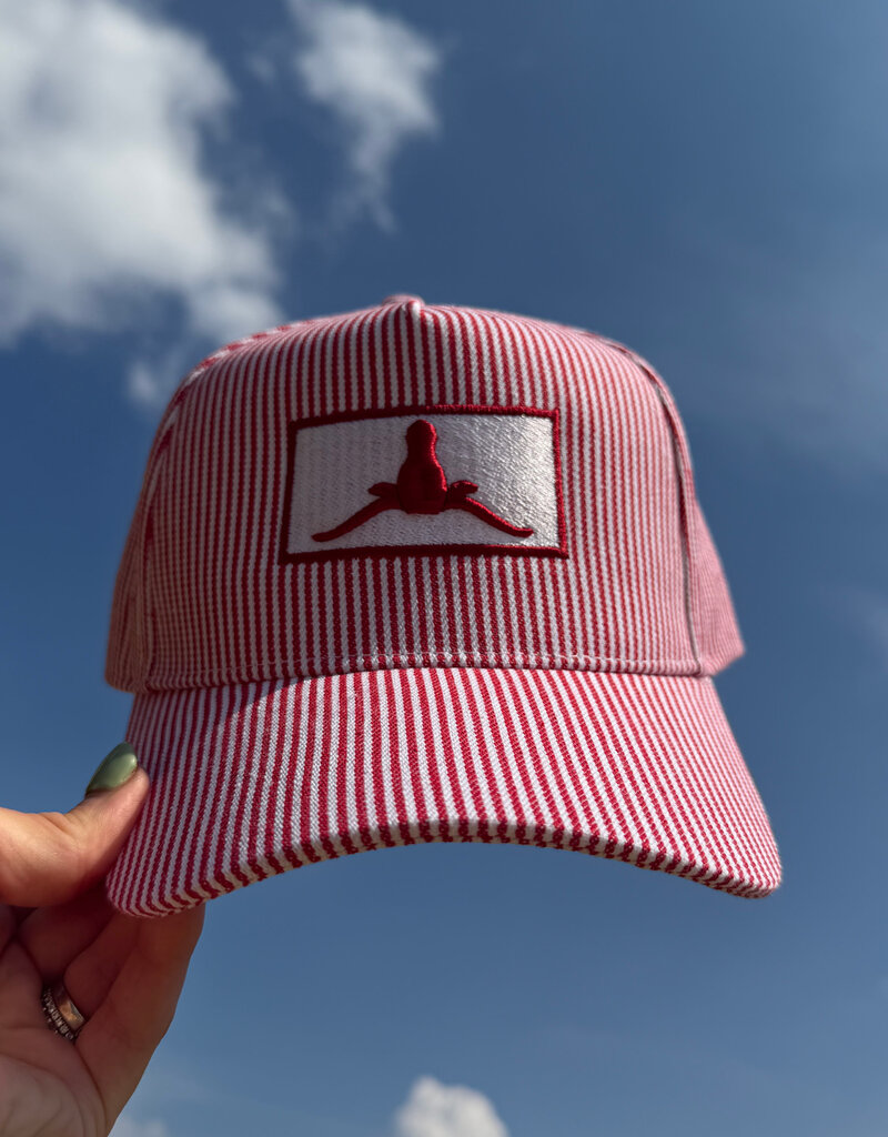 Striped Upside Down Longhorn Hat