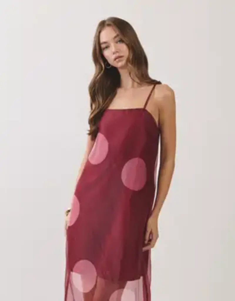 Polka Dot Sheer Overlay Maxi Dress