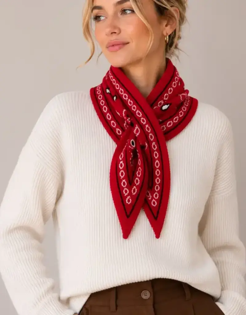 Thick Paisley Triangle Scarf