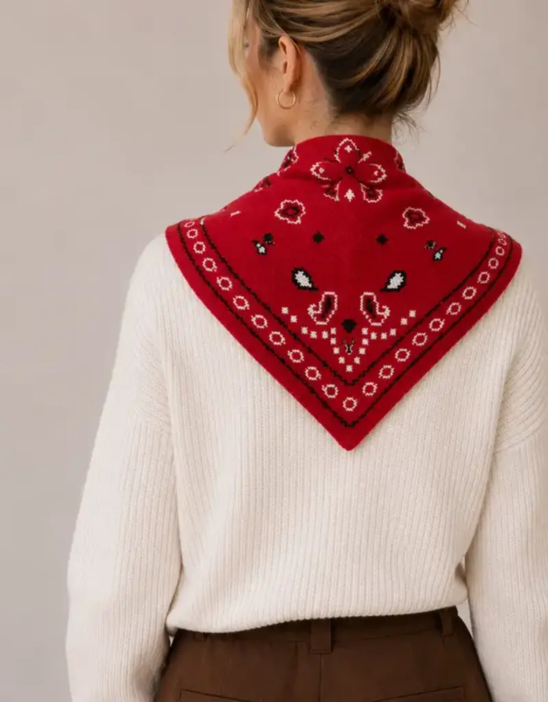 Thick Paisley Triangle Scarf