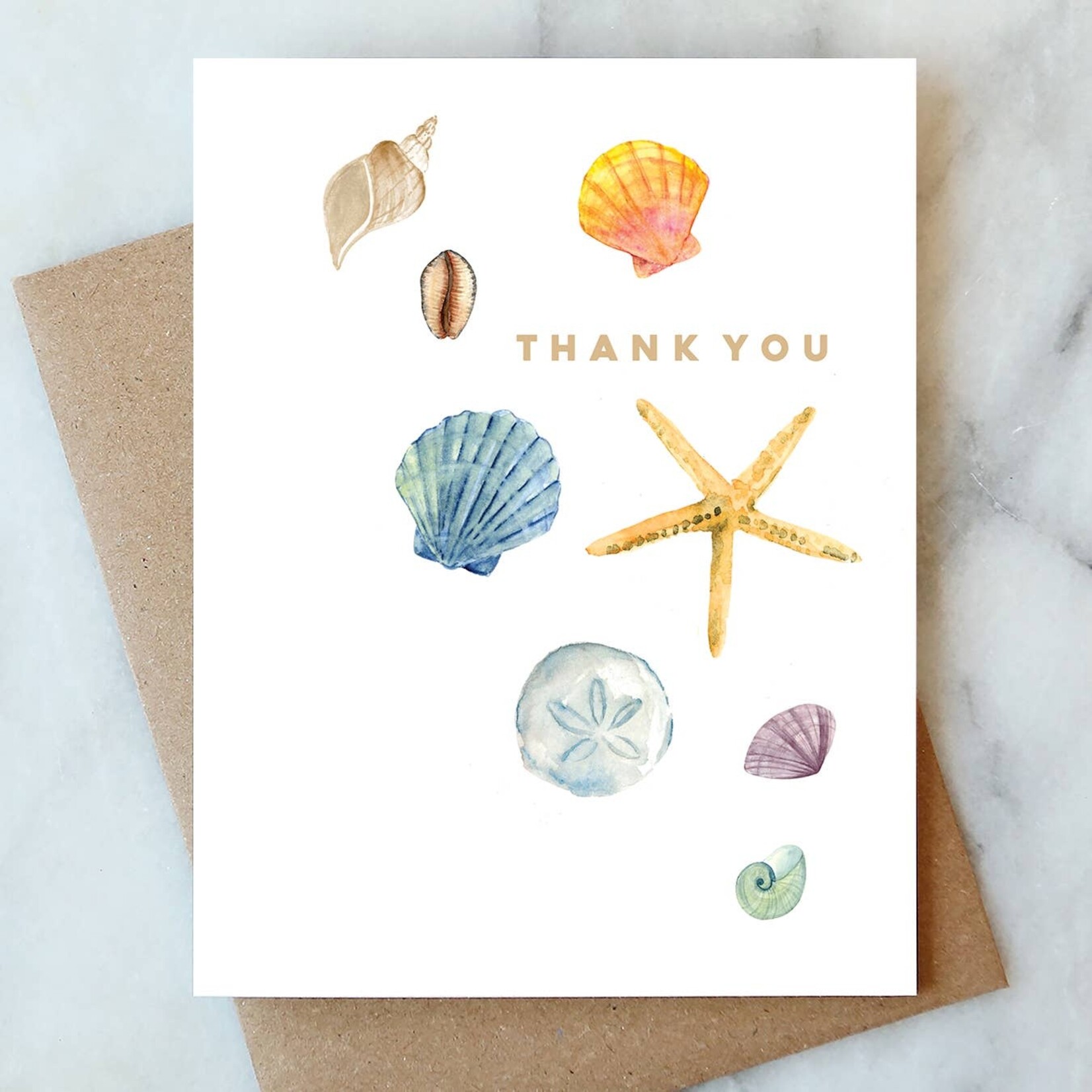 Shells Thank You Card