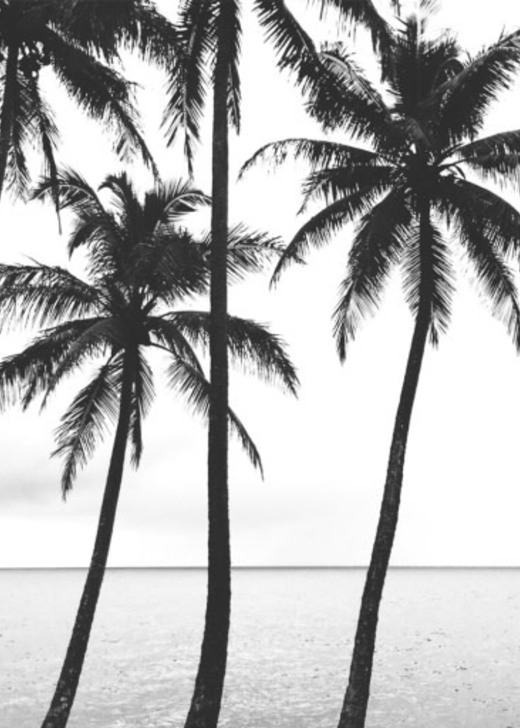 Aloha Collection Cutie Kalapana