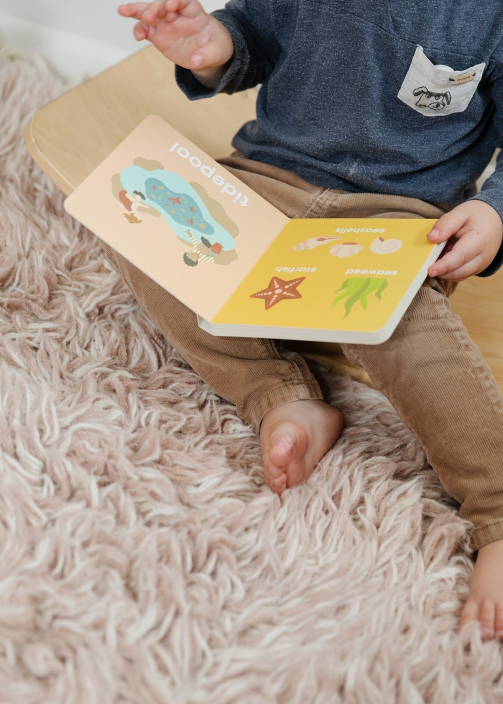 Beach Baby Book