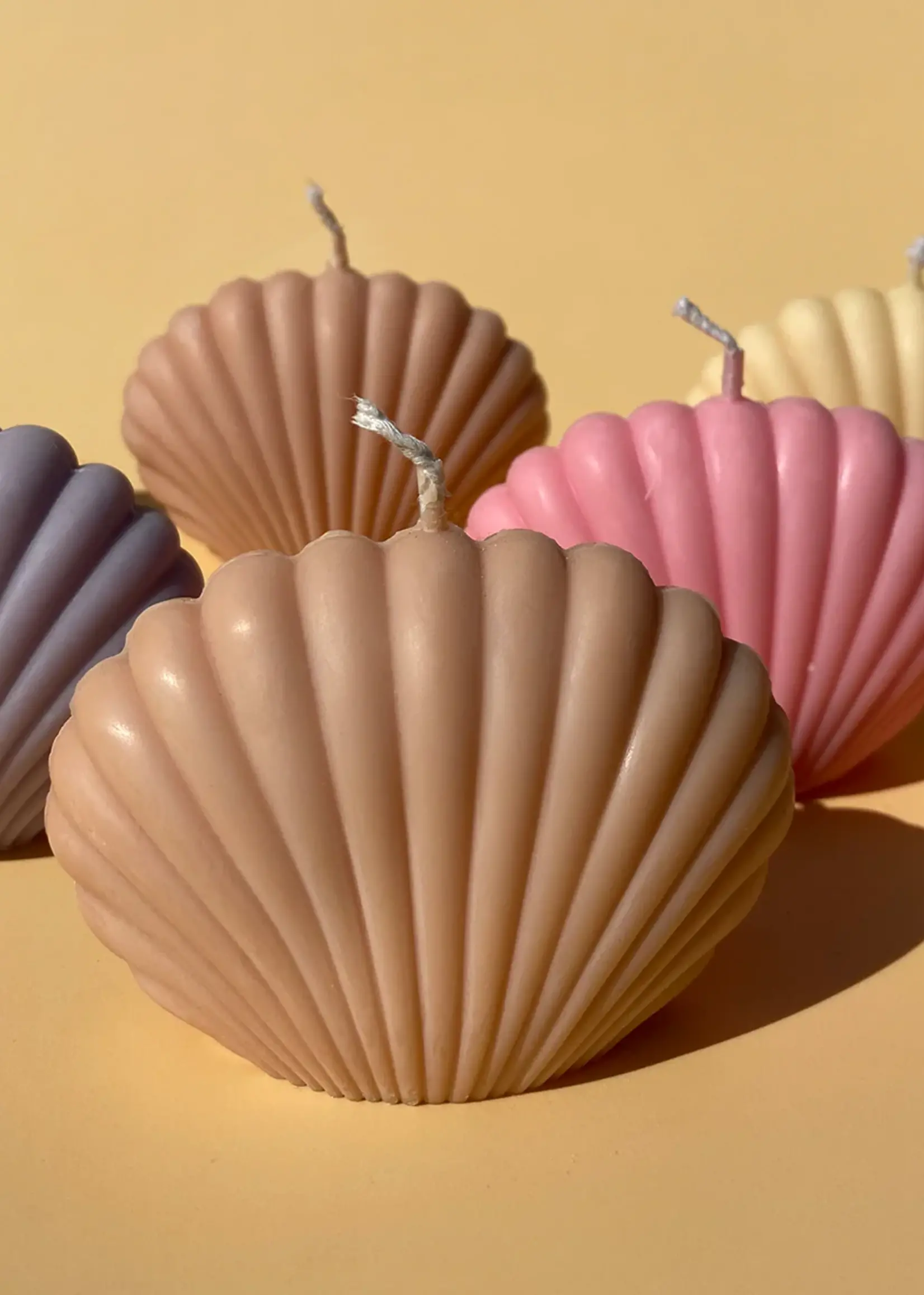 Shell Candle