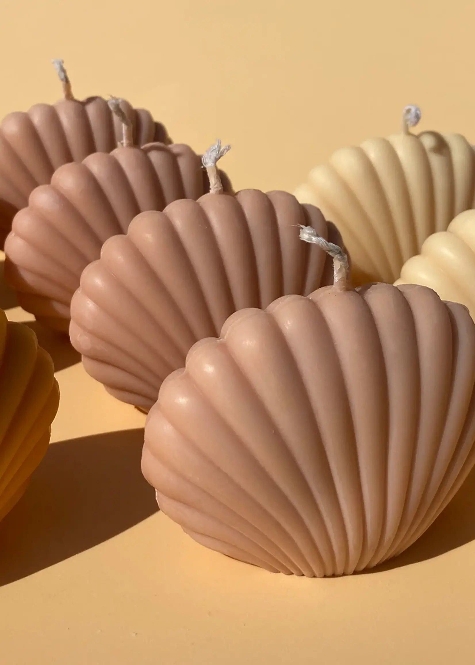 Shell Candle