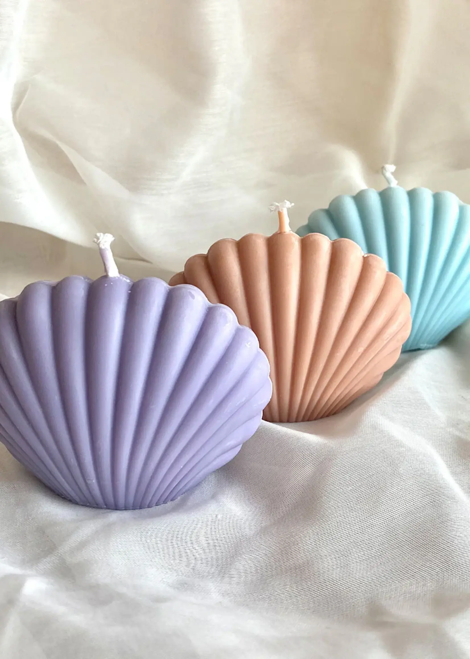 Shell Candle