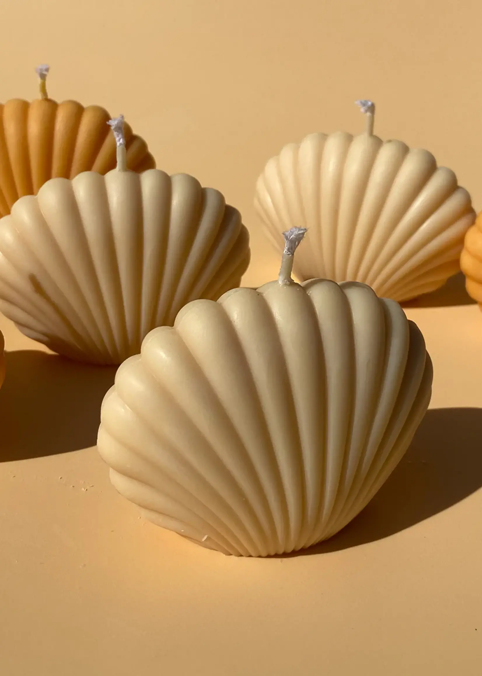 Shell Candle