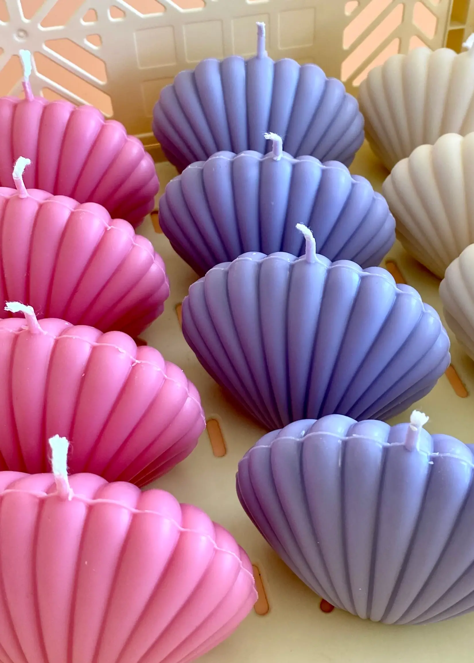 Shell Candle