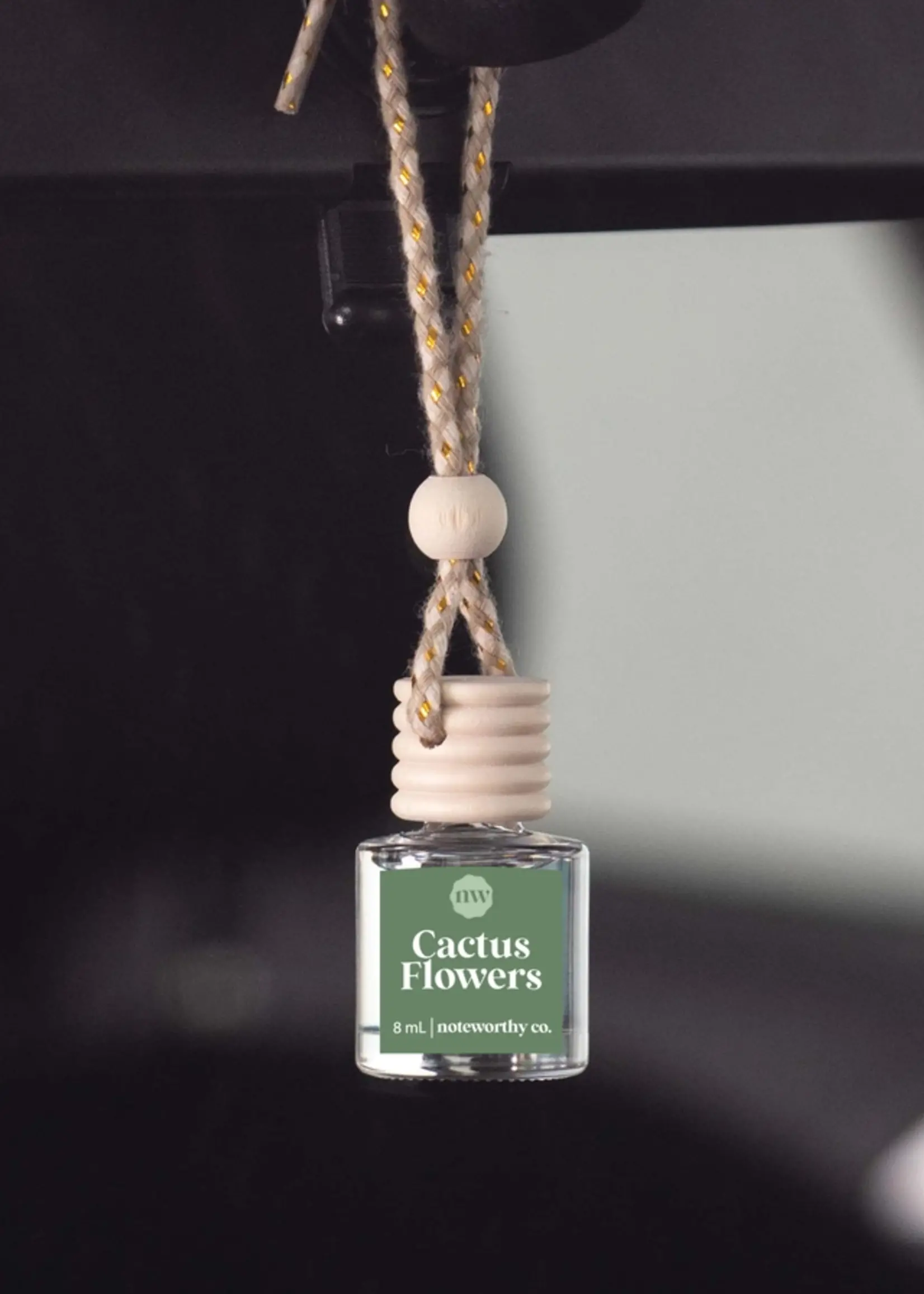Car Diffuser