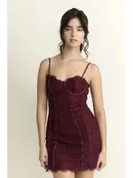 Storia Solid Lace Bustier Mini Dress