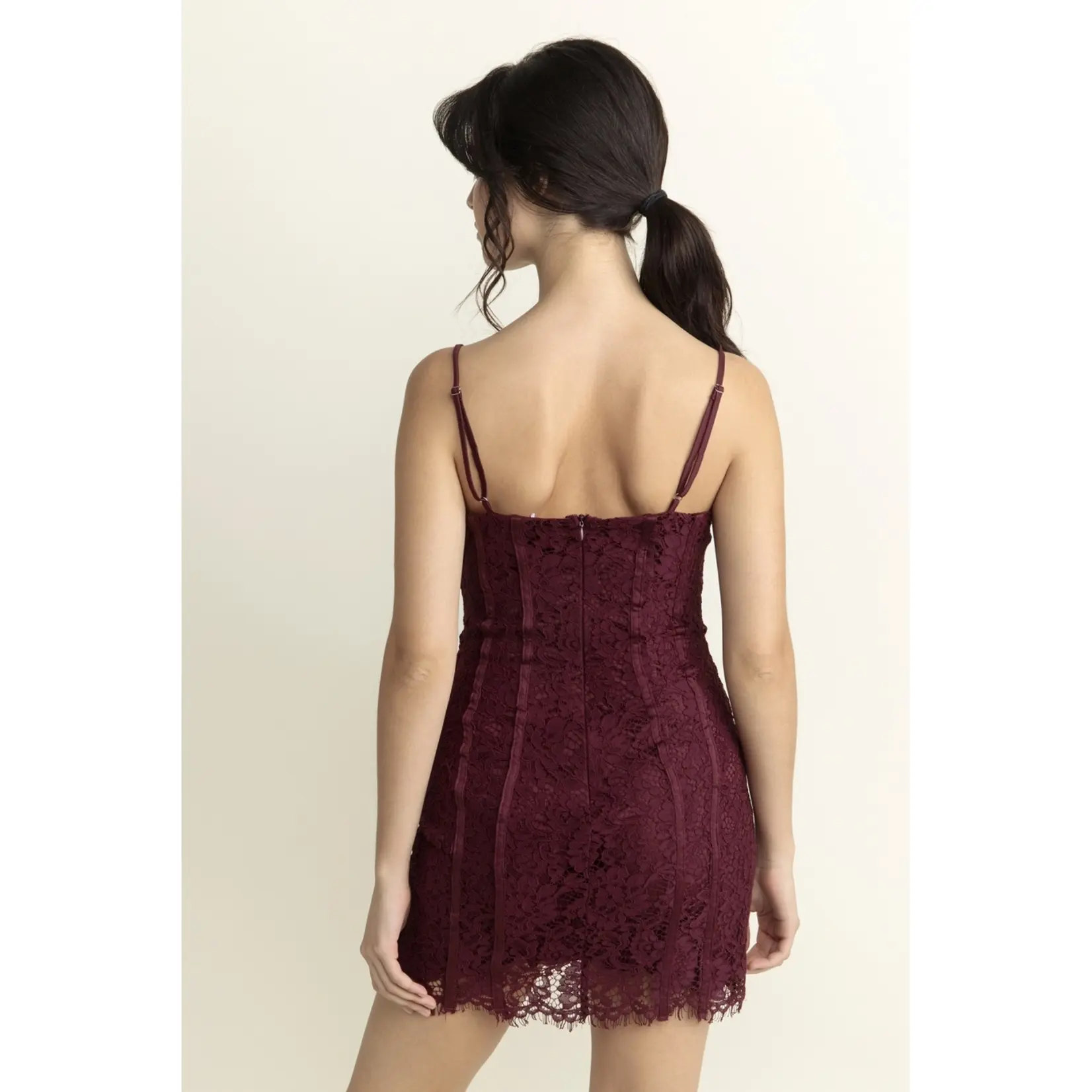 Storia Solid Lace Bustier Mini Dress