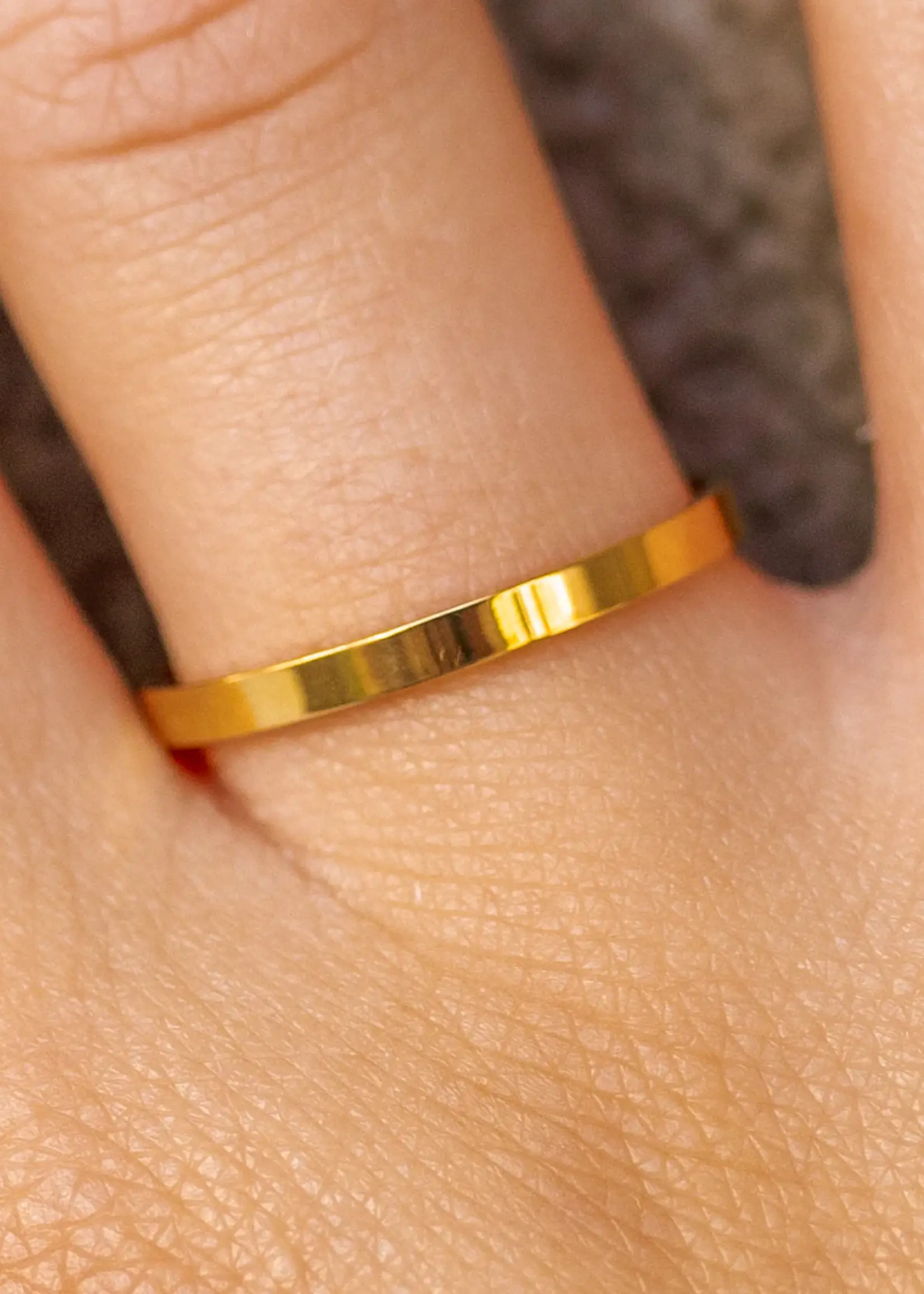 Alco Staple Ring