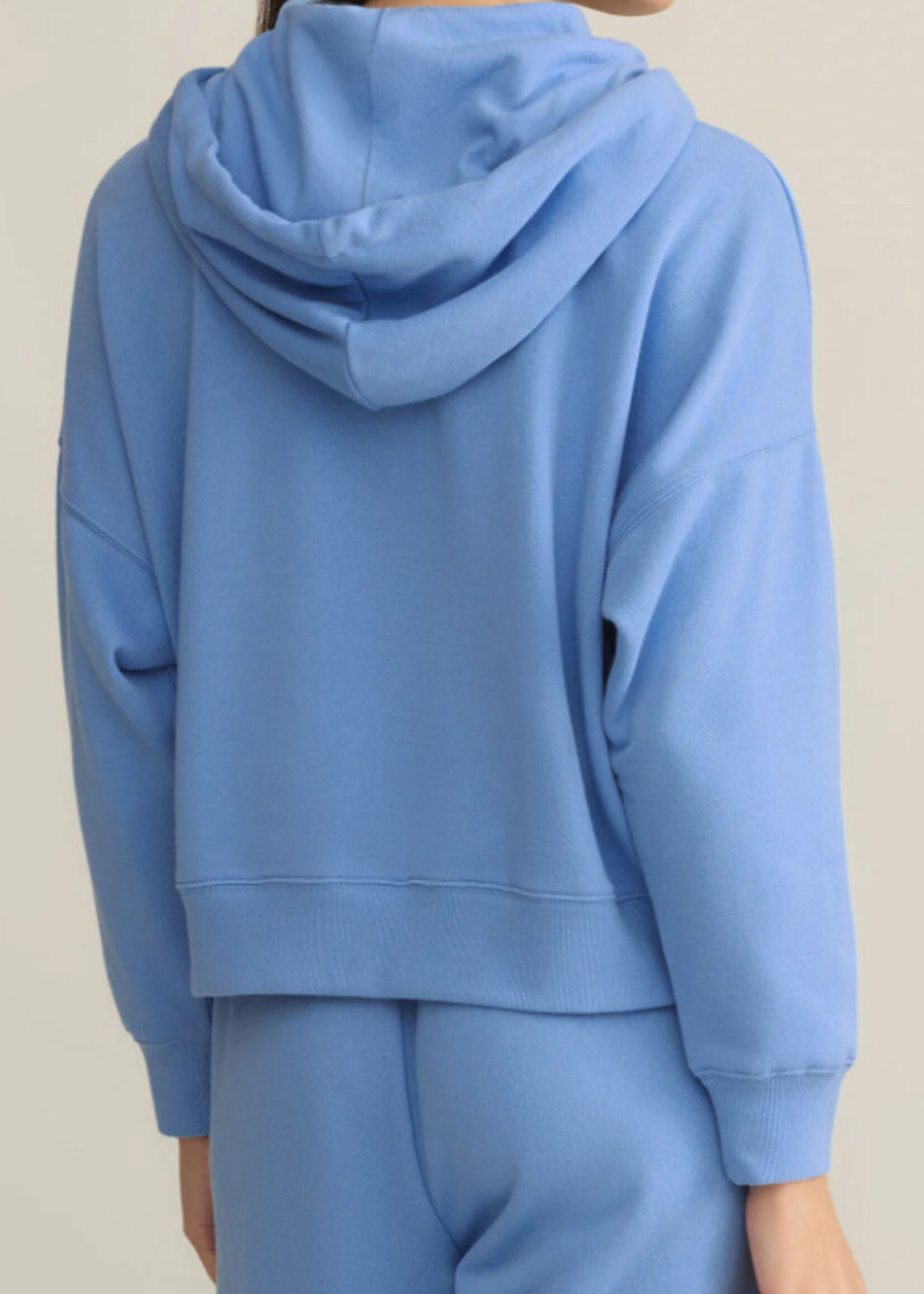 Z Supply Infield Hoodie