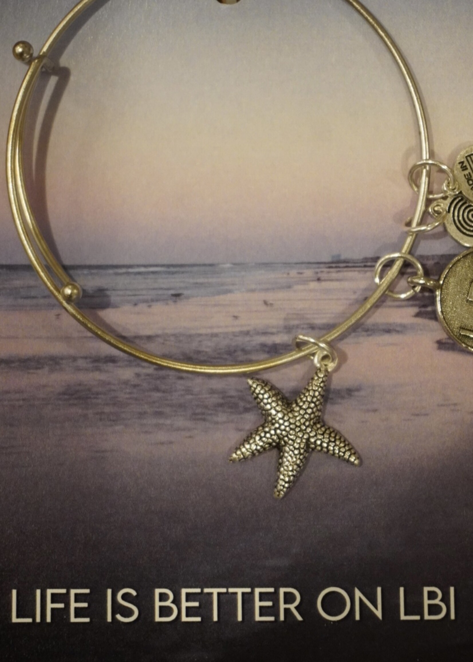 LBI Charm Bracelet | Silver