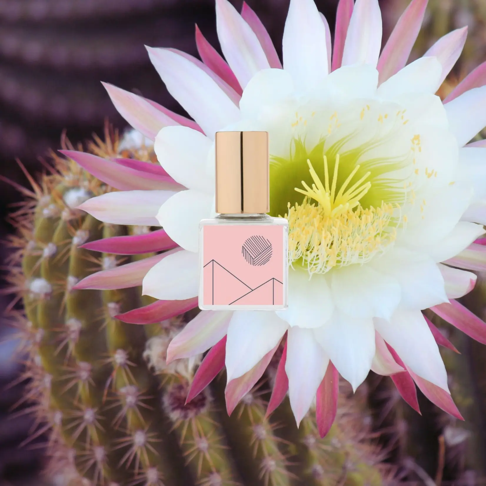 Kelly + Jones Mezcal Perfume Oil