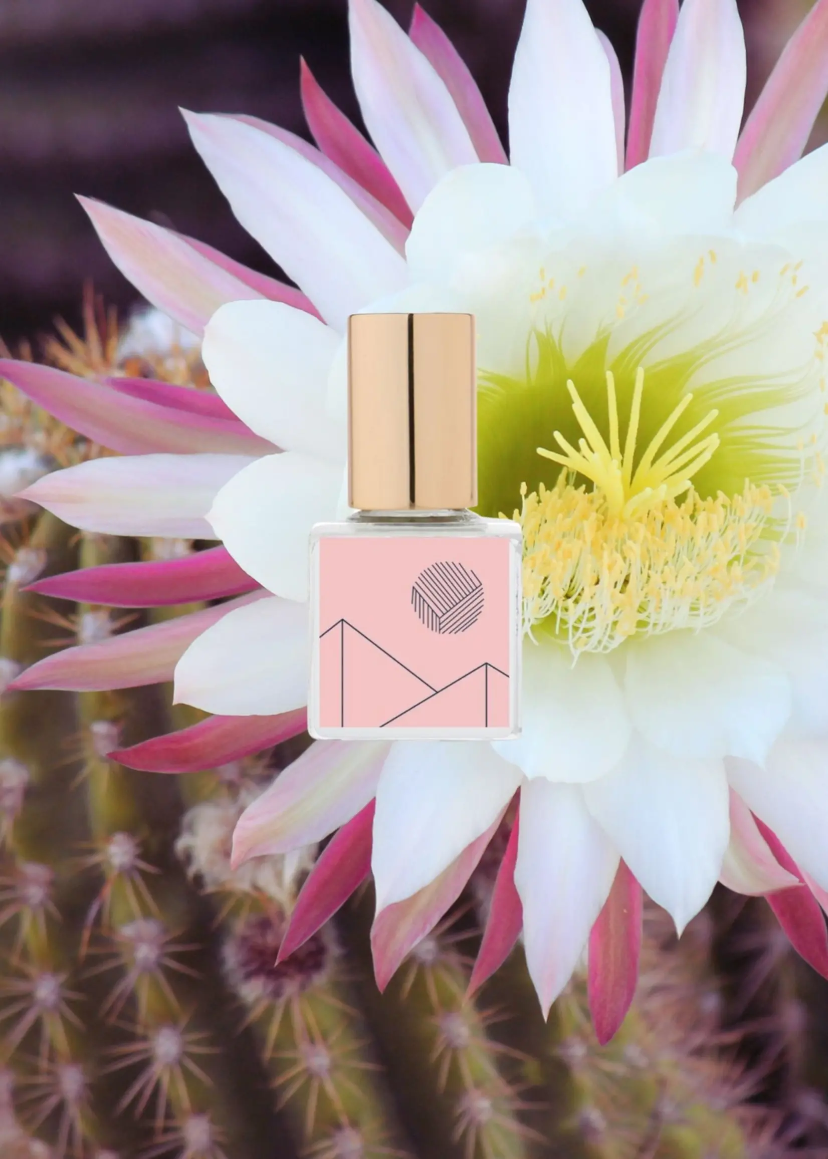 Kelly + Jones Mezcal Perfume Oil