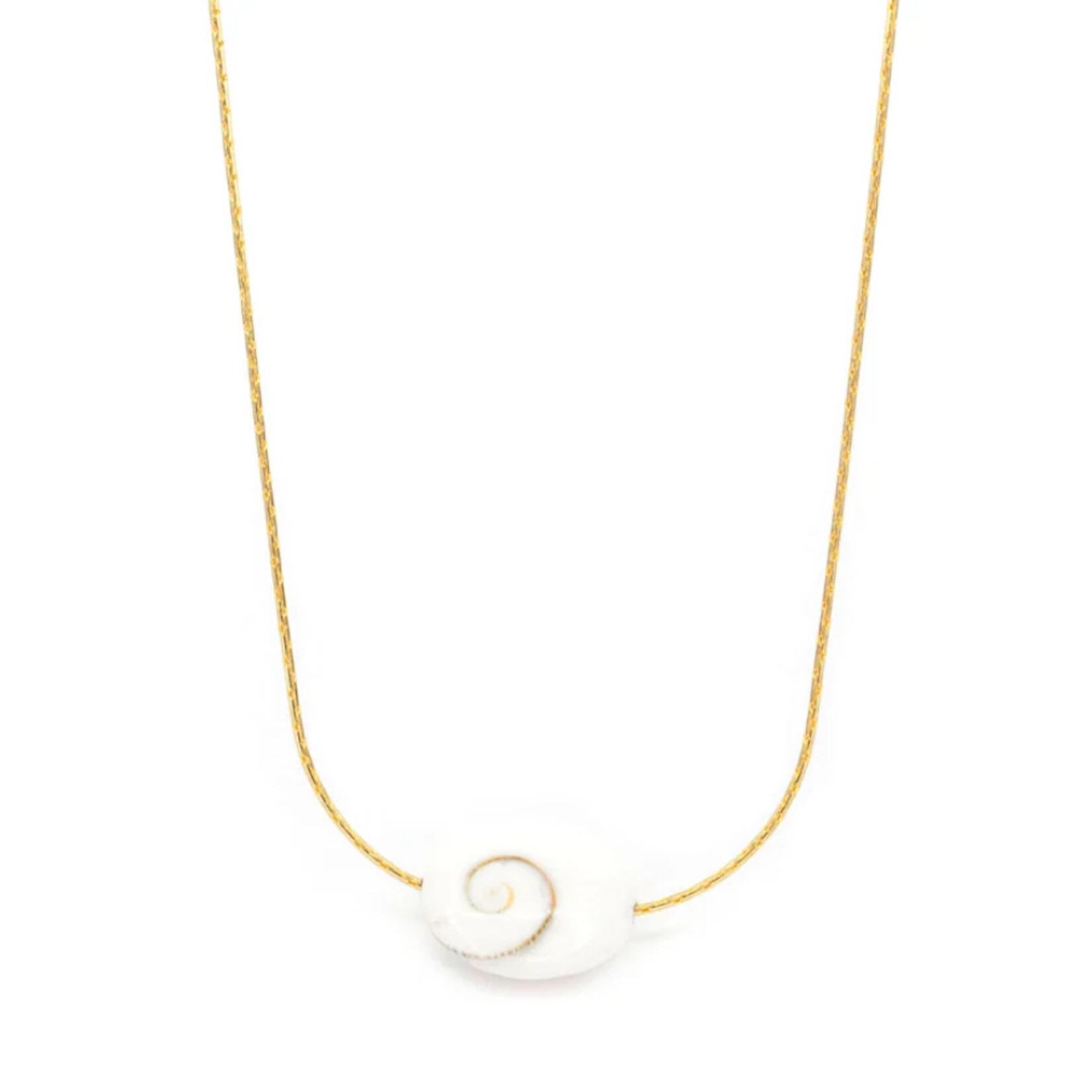 Salty Cali Shiva ~ Salty Shells