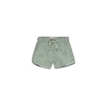 Rylee + Cru Inc. Boys Swim Short || Dino