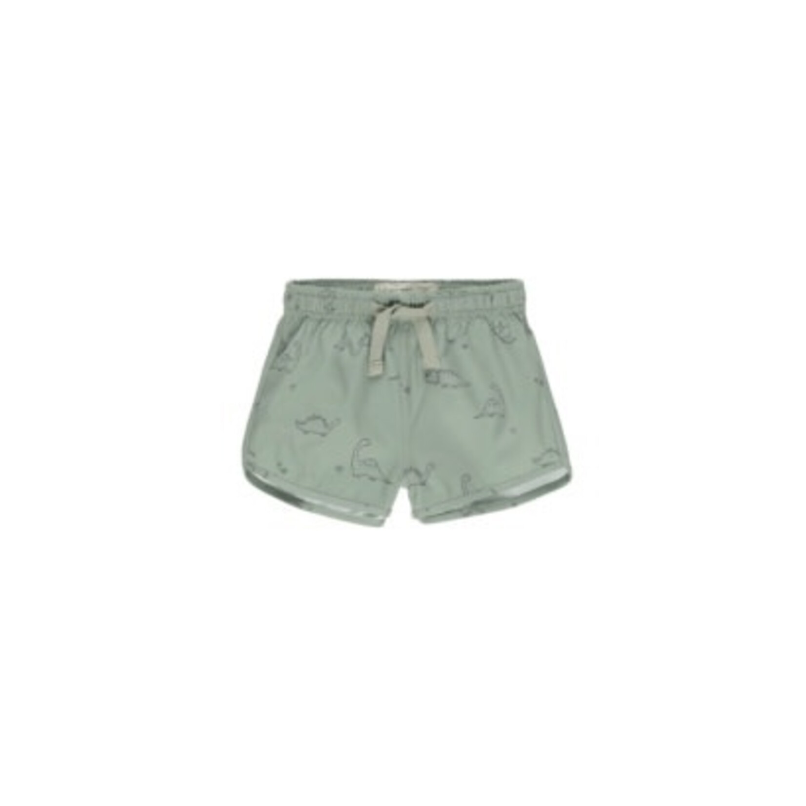 Rylee + Cru Inc. Boys Swim Short || Dino