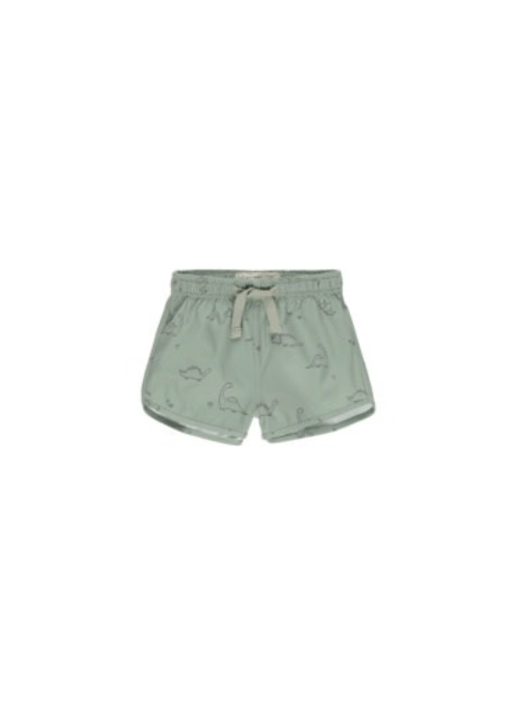 Rylee + Cru Inc. Boys Swim Short || Dino