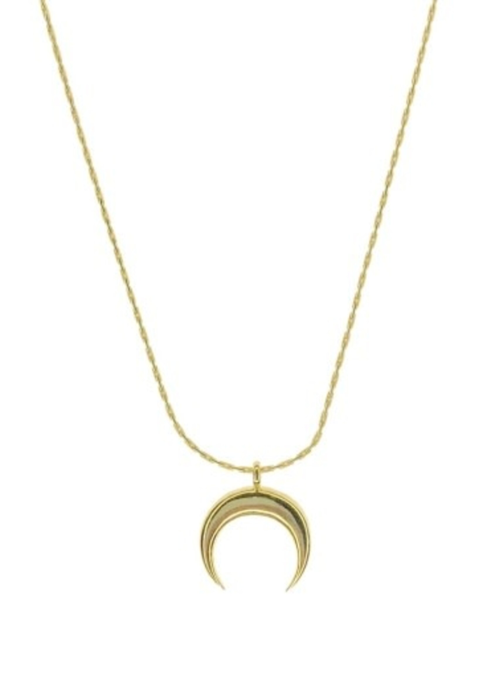 Salty Cali HORN ~ SALTY PENDANTS