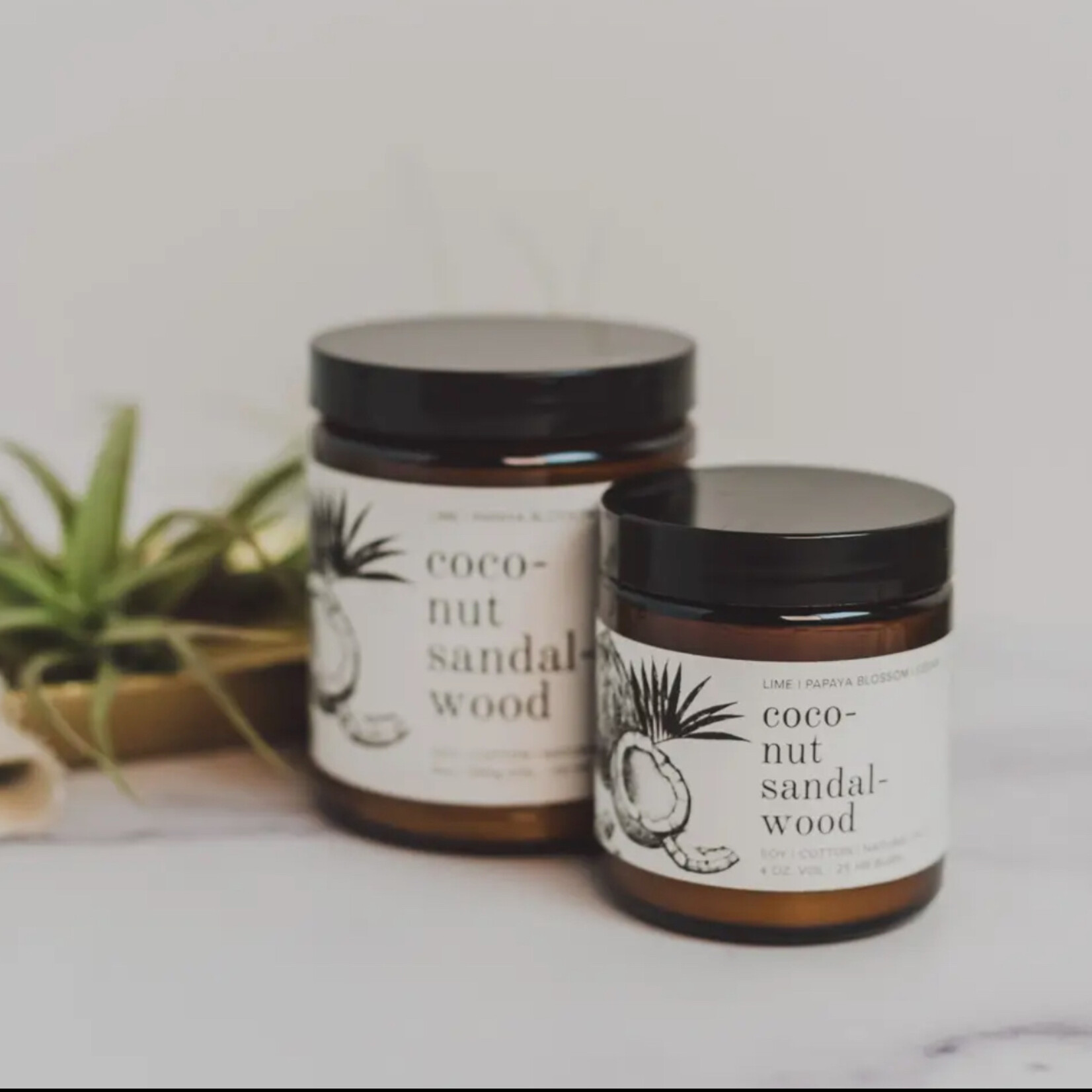Broken Top Natural Soy Candle - Coconut Sandalwood