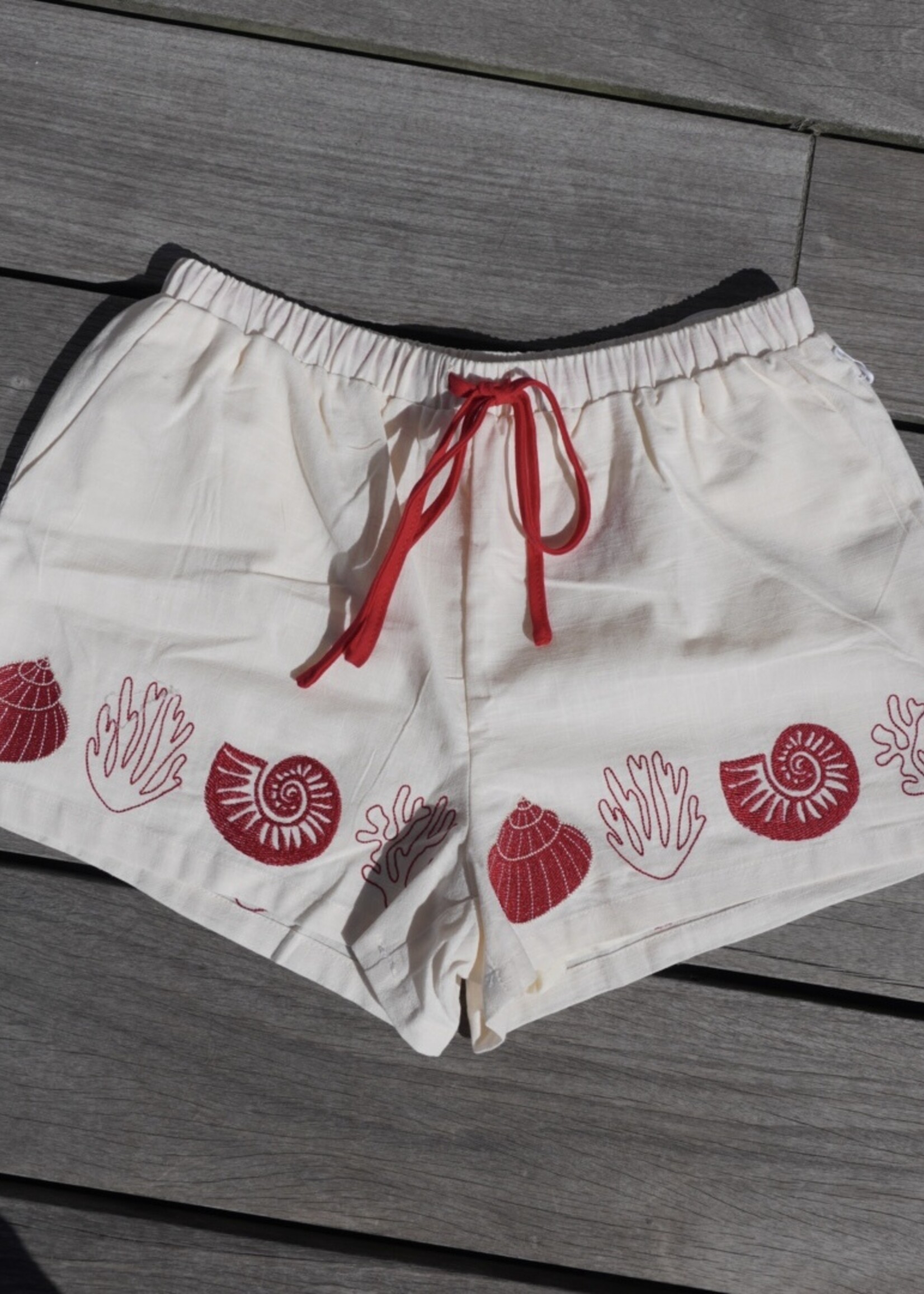 Shell Shorts