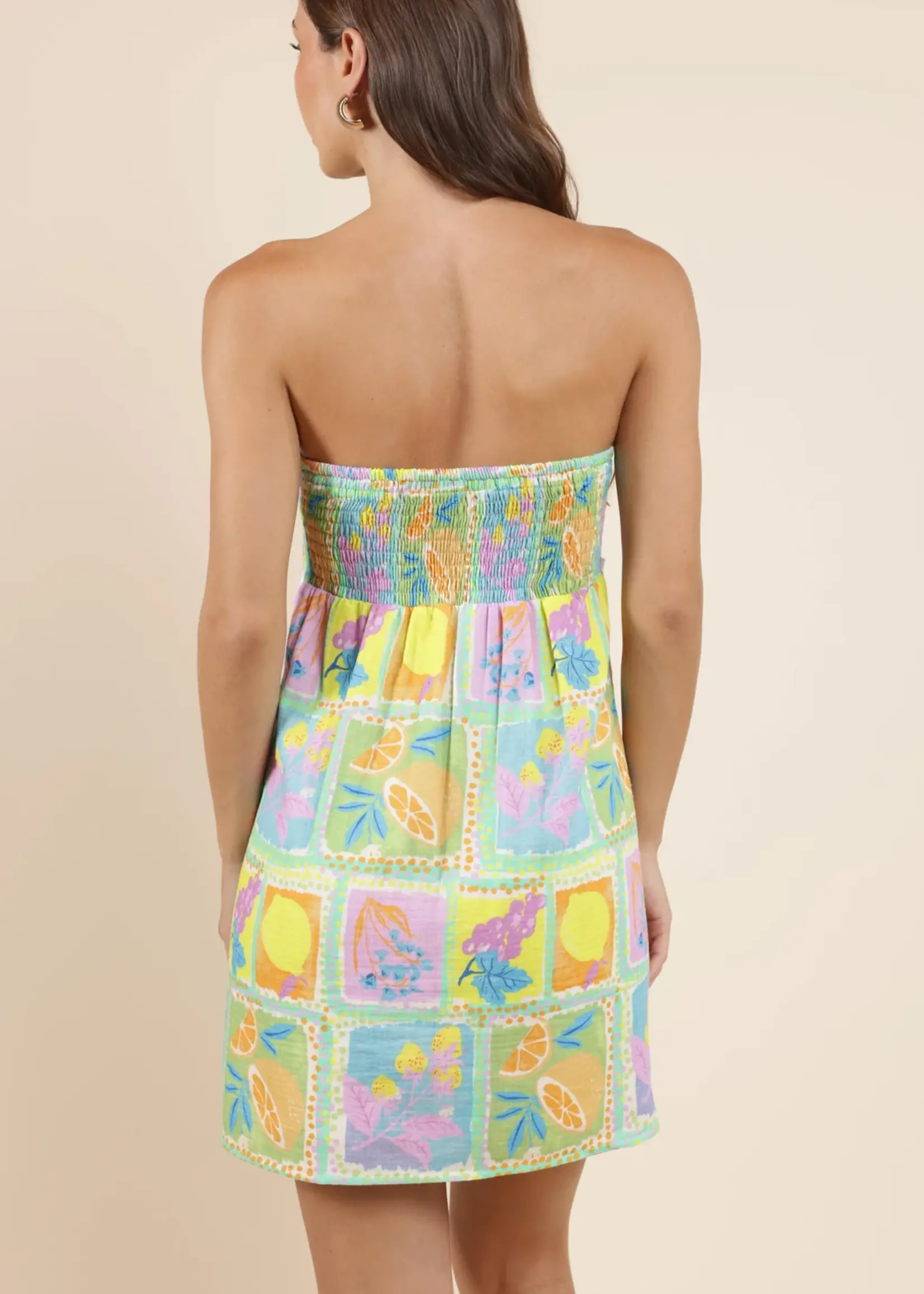 Mimosa Tube Mini Dress