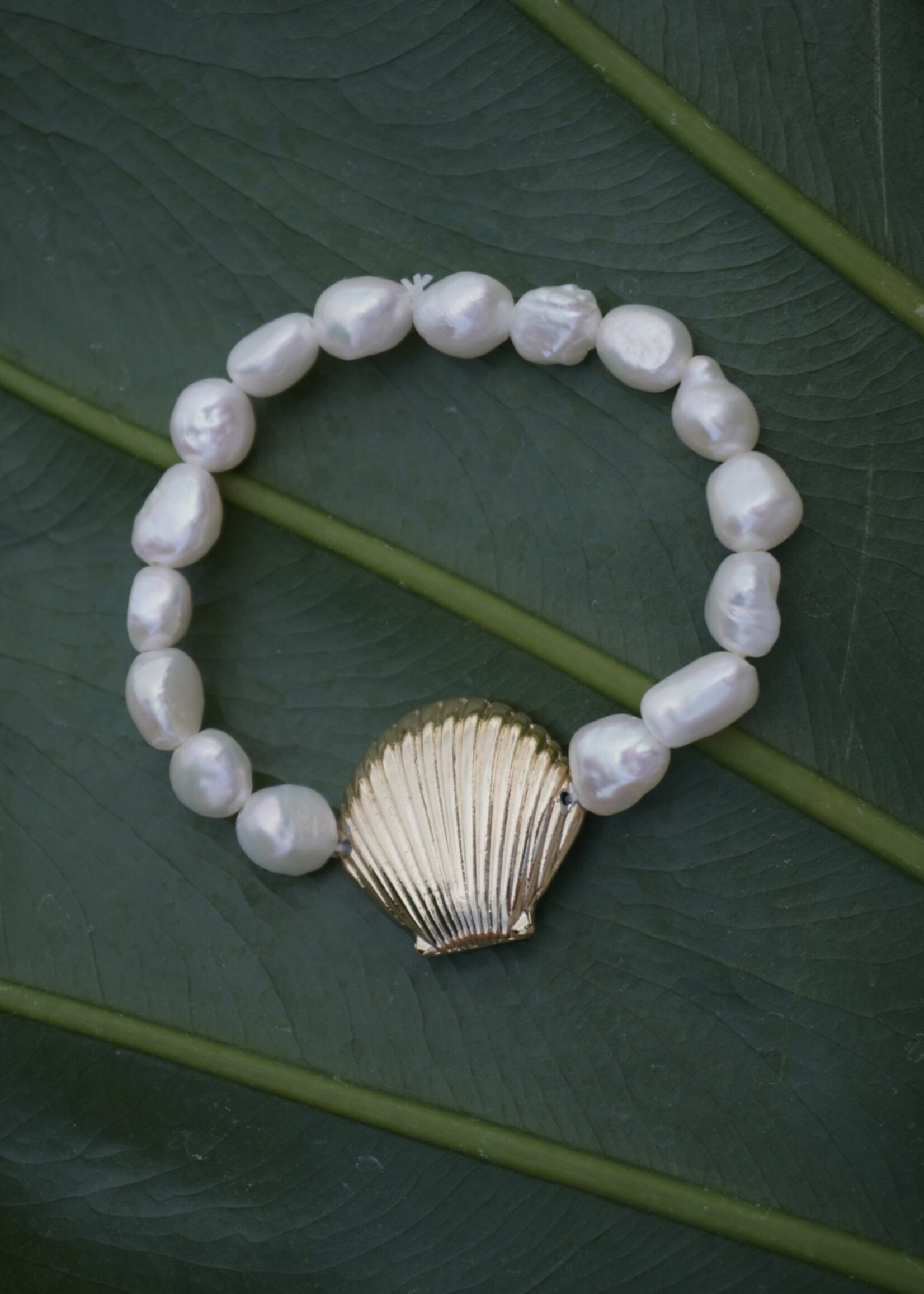 SCALLOP SHELL PEARL BEAD BRACELET