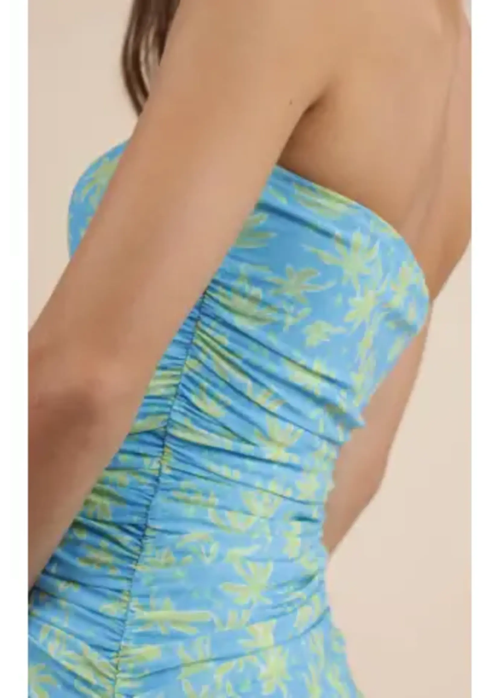 Under the Palms Dress