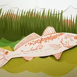 Hooked Fish Gift Card