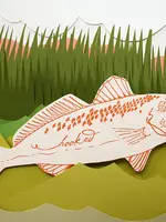 Hooked Fish Gift Card