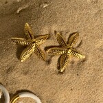 Salty Cali Sea Star Stud Earrings - Gold