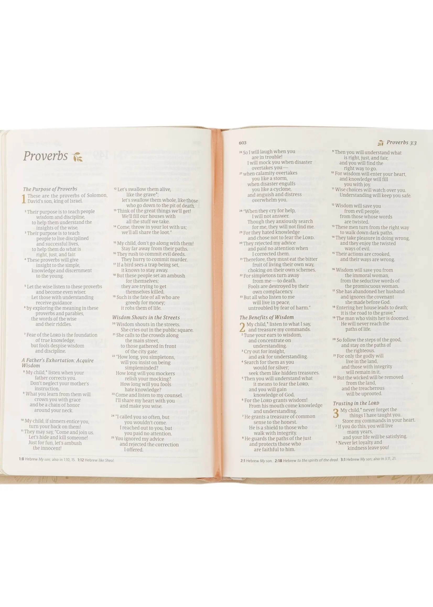 Nlt Compact Bible: Sonora Theme