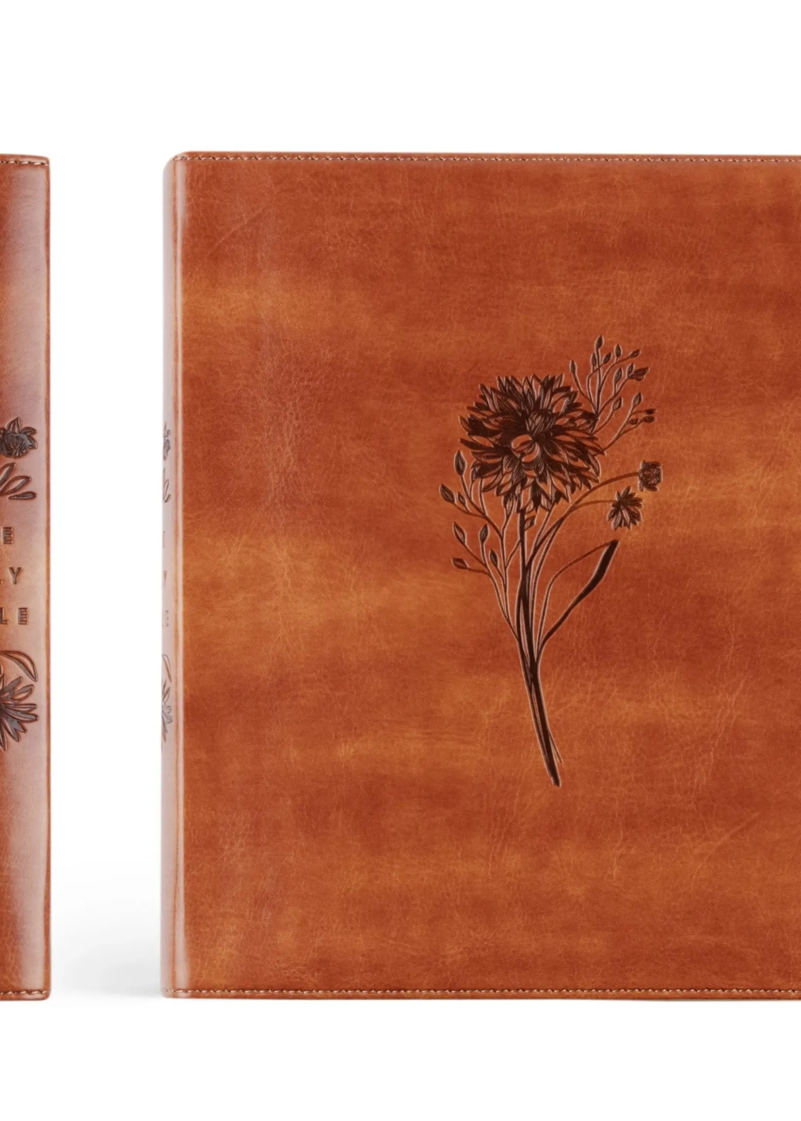 Esv Journaling Bible: Sierra Theme