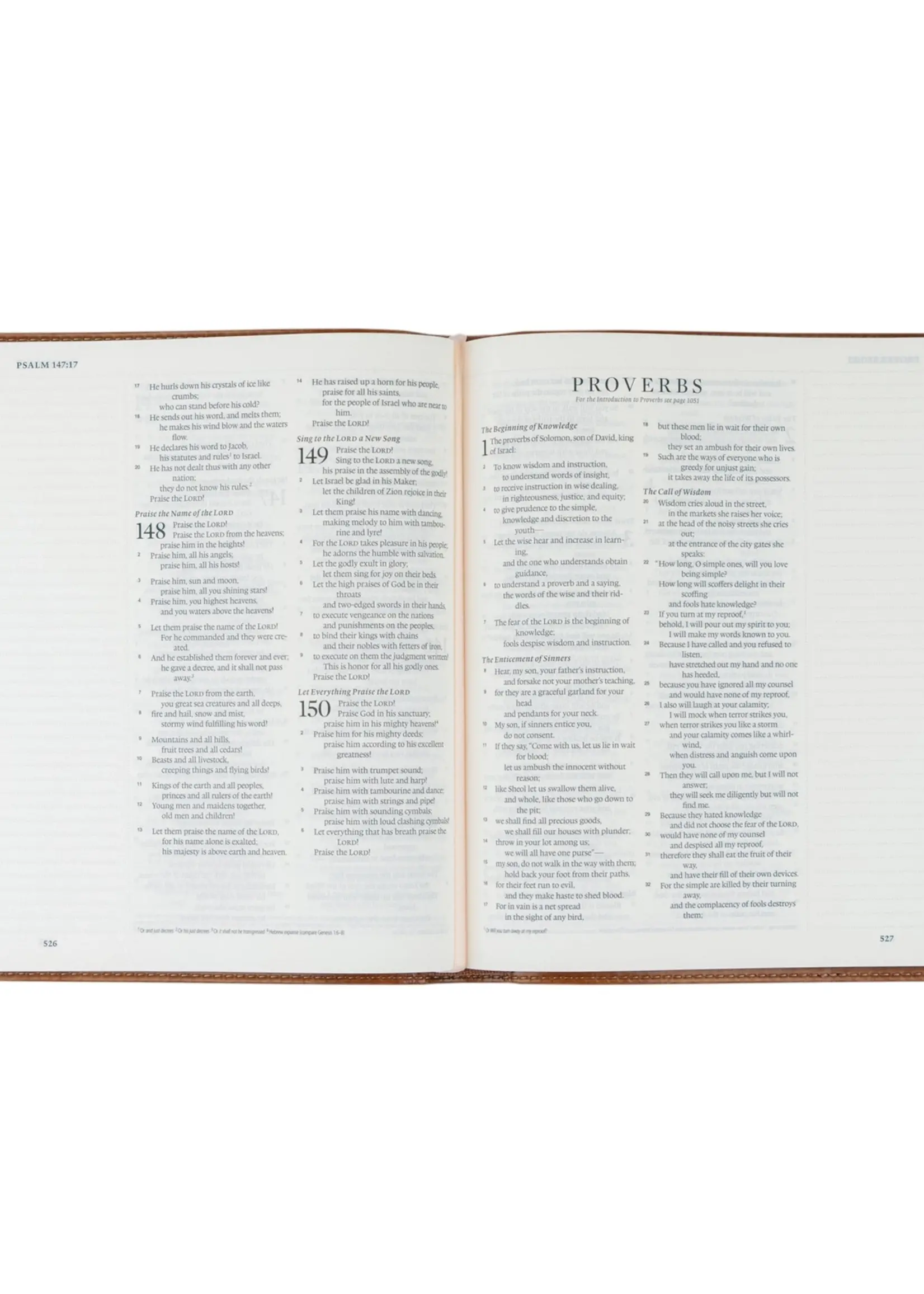 Esv Journaling Bible: Sierra Theme