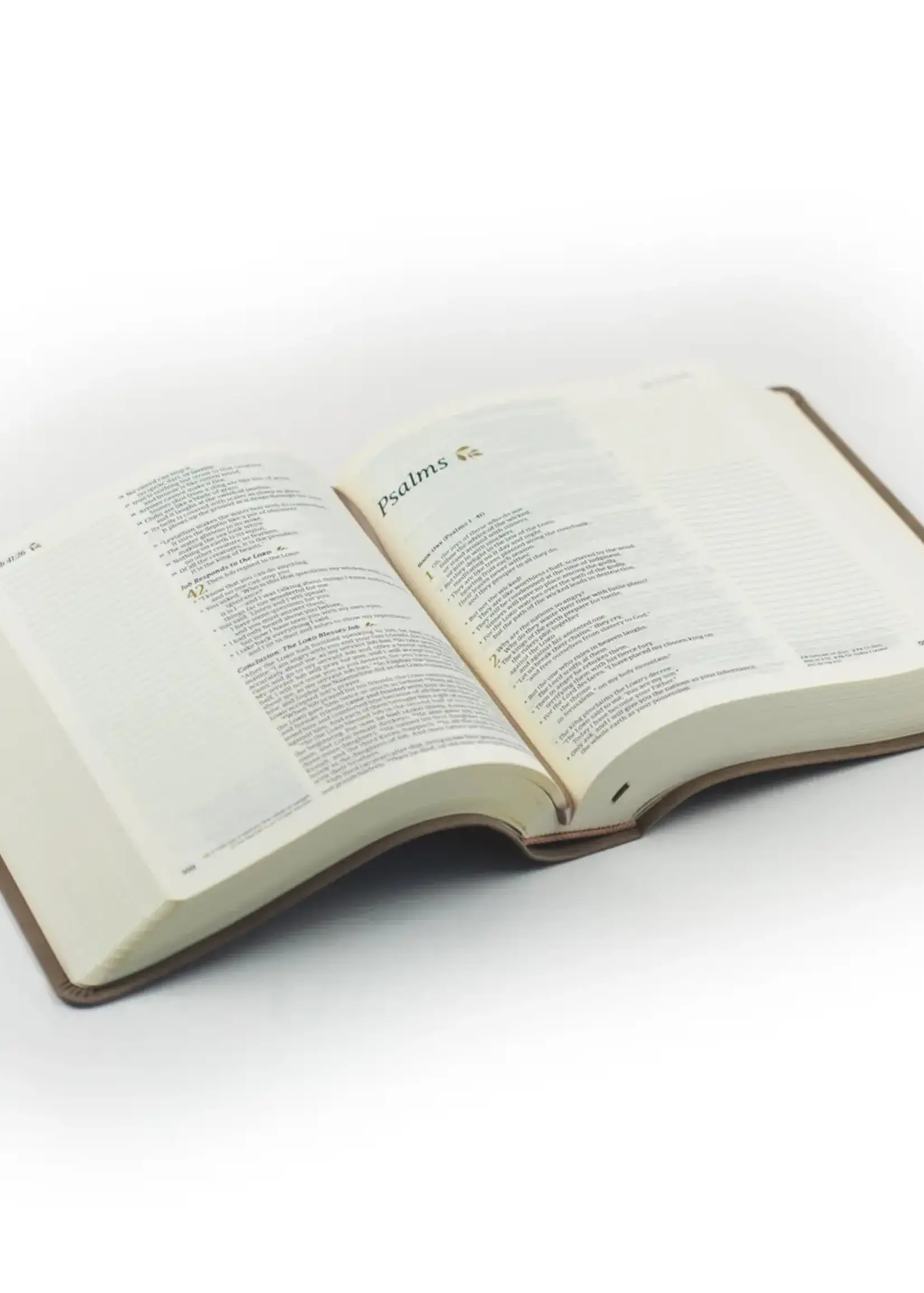 Hosanna Revival Notebook : Marlo Theme