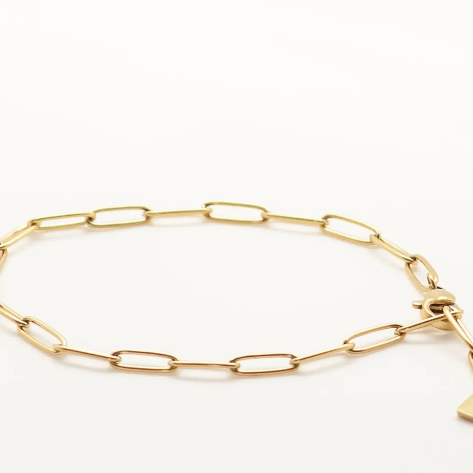 Salty Cali Paperclip Anklet