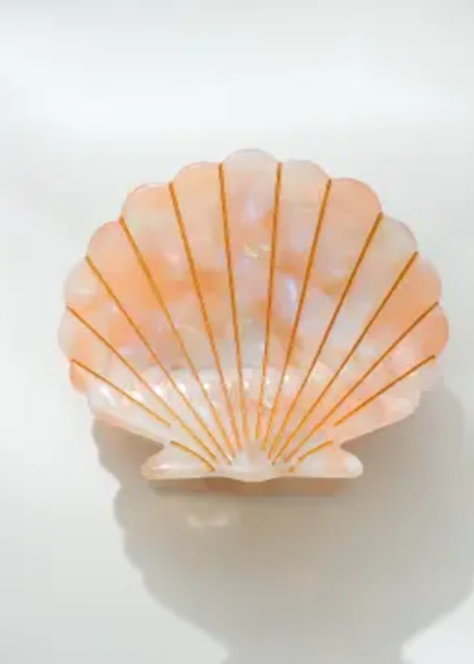 Adorro Oceane Medium | Seashell Claw Clip Assorted