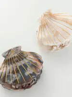 Adorro Calacatta Seashell | Hand Painted Seashell Claw Clip