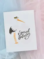 Special Delivery Stork Baby Newborn Congrats Greeting Card