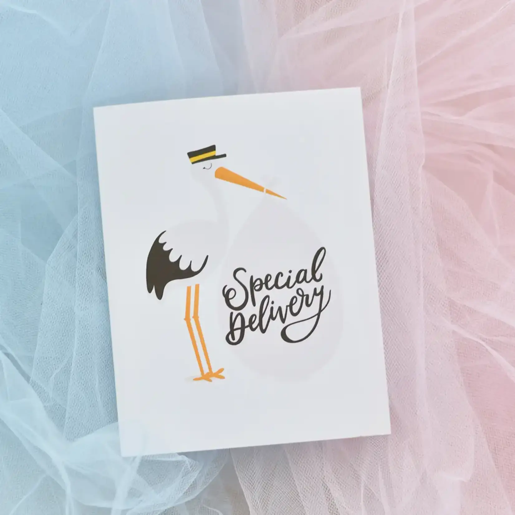 Special Delivery Stork Baby Newborn Congrats Greeting Card