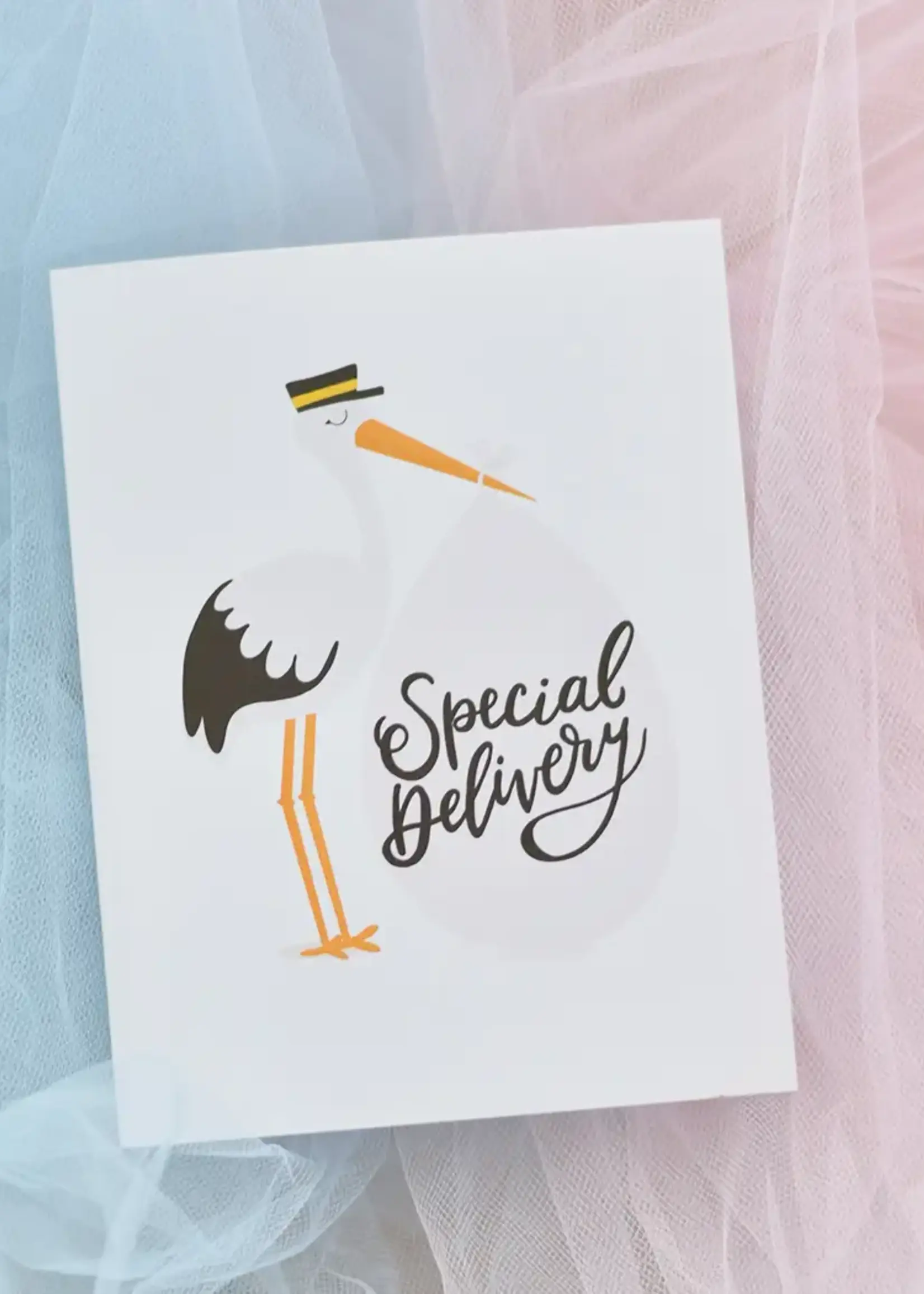 Special Delivery Stork Baby Newborn Congrats Greeting Card