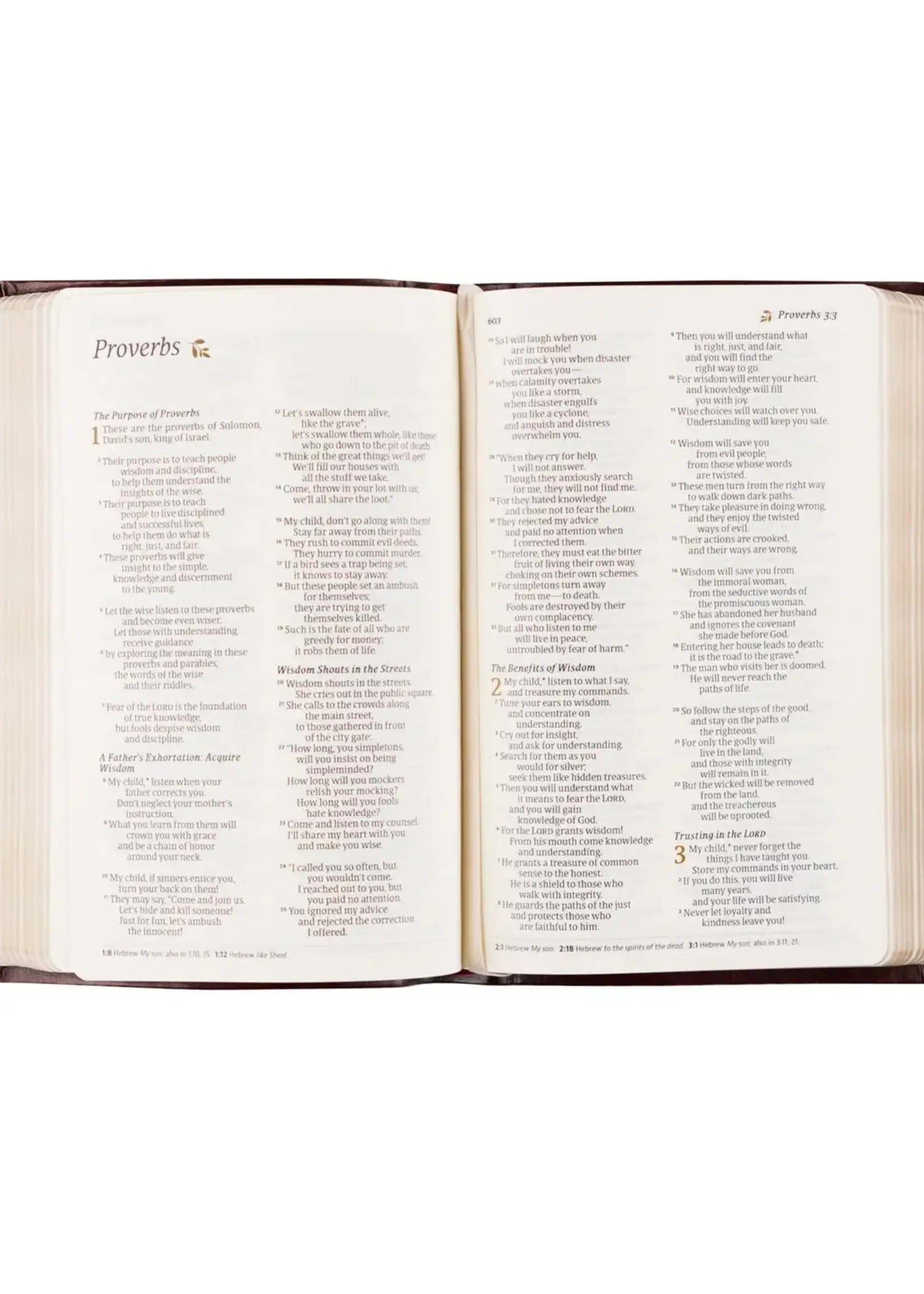 Nlt Compact Bible: Yorkshire Theme