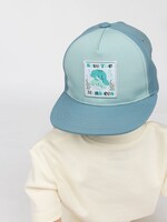 Emerson and Friends Save the Manatees Ocean Conservation Kids Snapback Hat