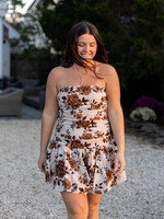 Saltwater Luxe Auguste Mini Dress