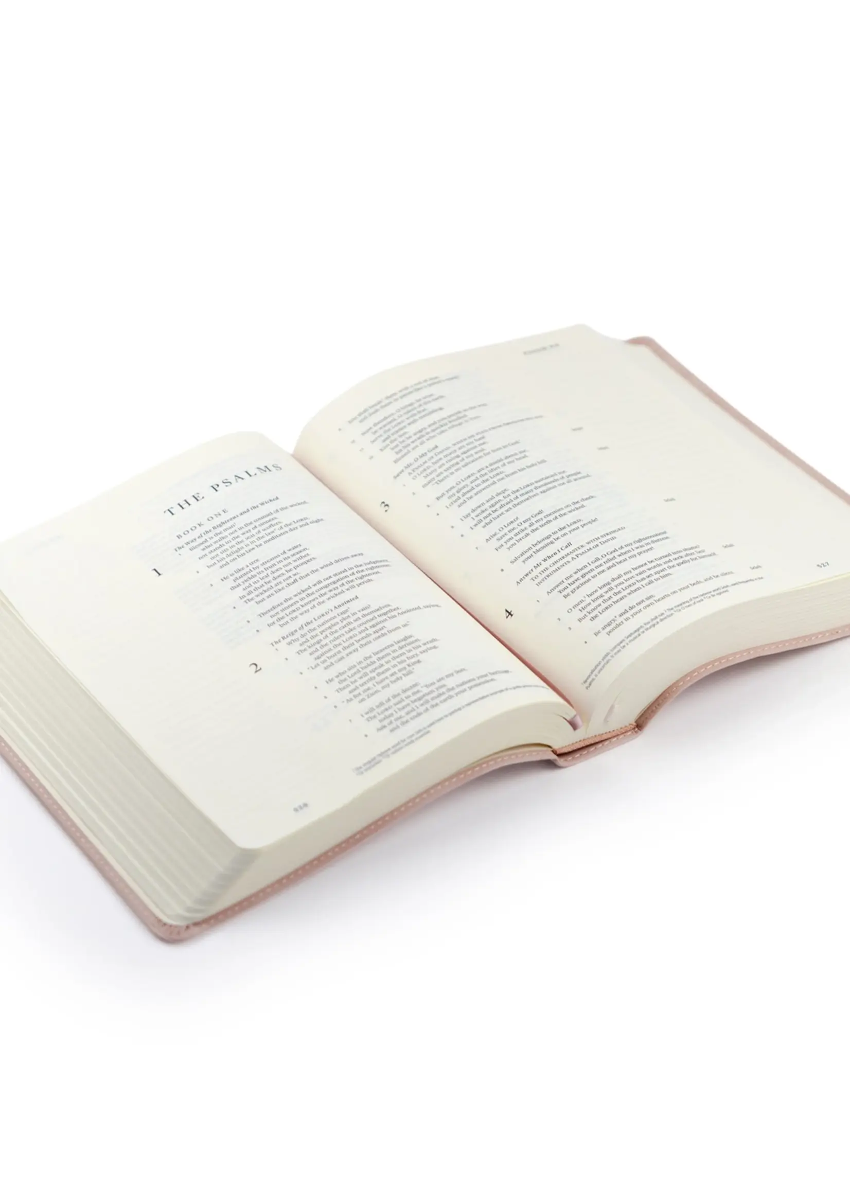 Esv Journaling Bible : Shiloh Theme