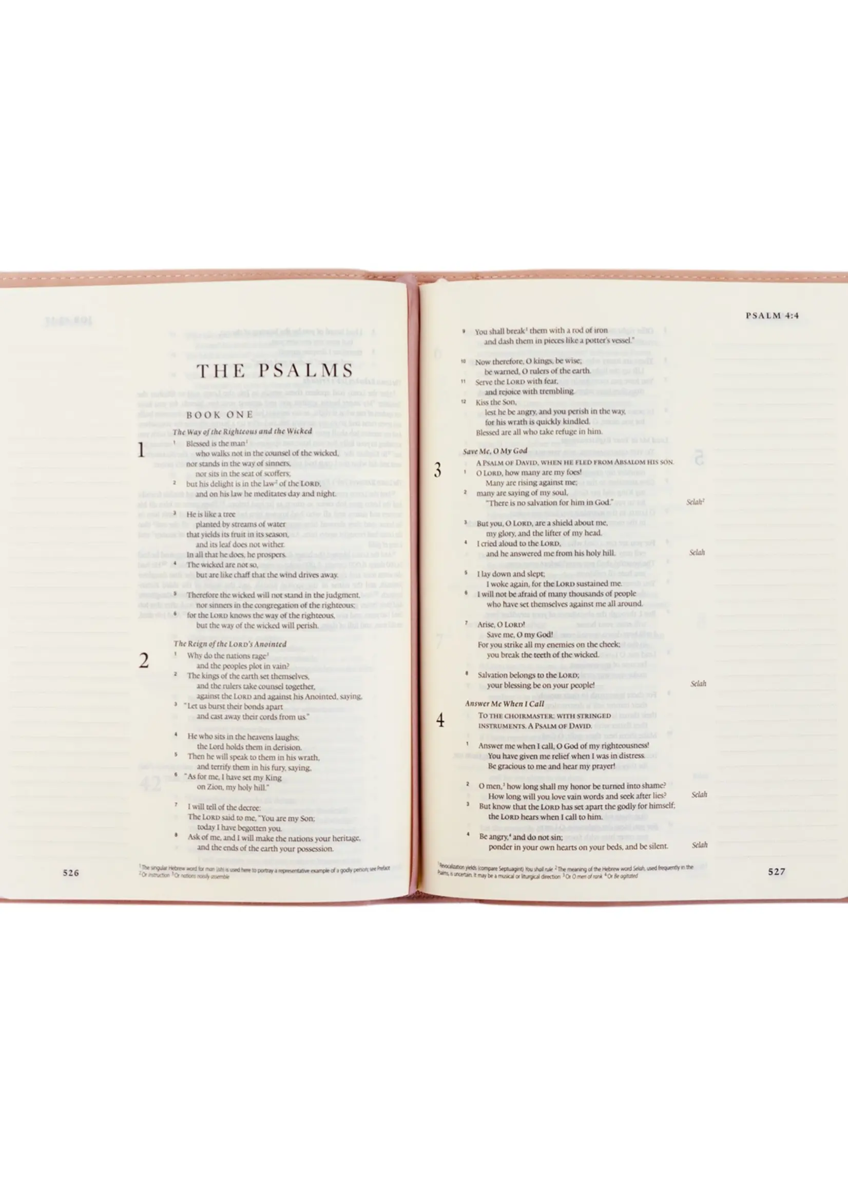 Esv Journaling Bible : Shiloh Theme