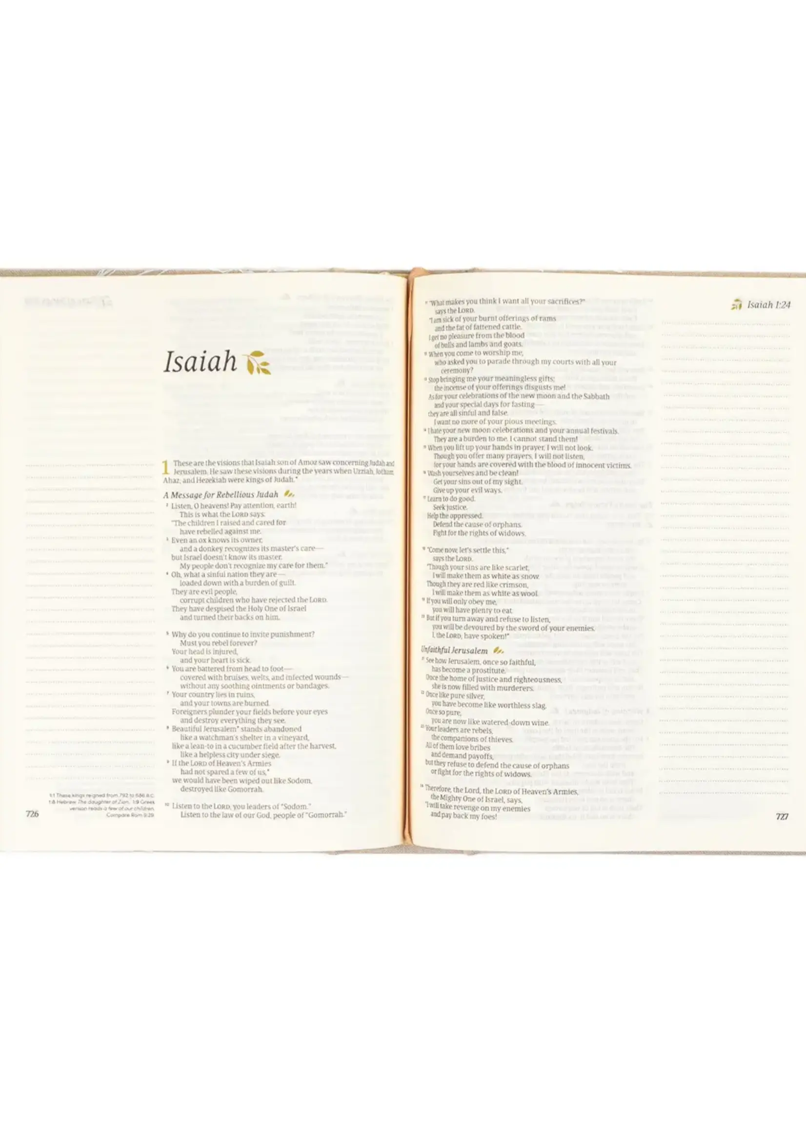 Nlt Notetaking Bible : Cordova Theme